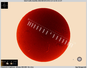 Sole invertito  DFK 41 14-09-29 14-41-11