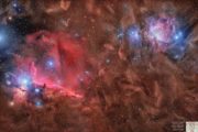 Nebulosa Testa di cavallo  e dintorni Maurizio Cabibbo