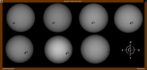 Sole dal 21 10 2014 al 28 10 2014