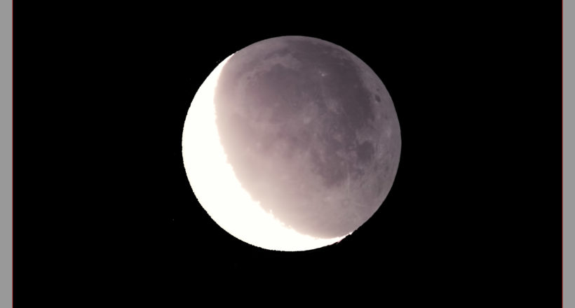 Luna cinerea 21 01 2018