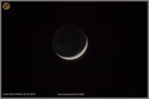 luna-cinerea-09-03-2019