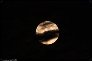 luna-piena-img_2362